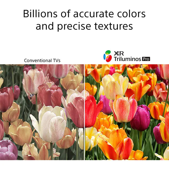 D570AC64-F2FF-DDB1-3701-D8EDC4FD4E8A